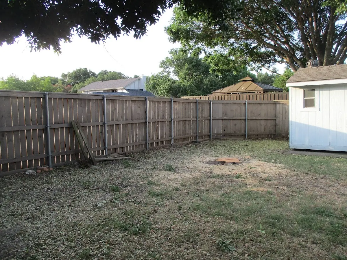 Cleared yard after professional tree removal in Swartswood
