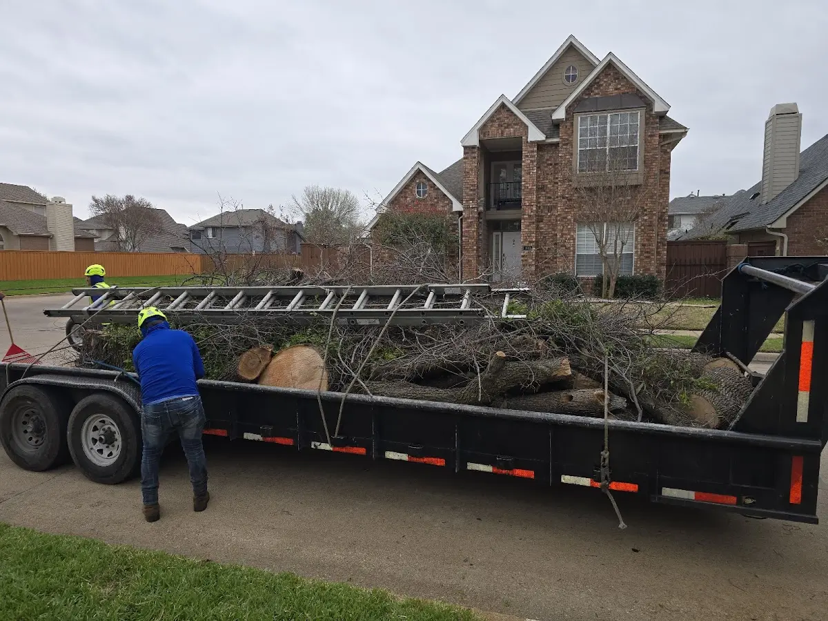 Expert Crown Reduction with proper safety equipment in Swartswood